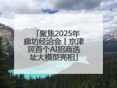聚焦2025年廊坊经洽会丨京津冀首个AI招商选址大模型亮相