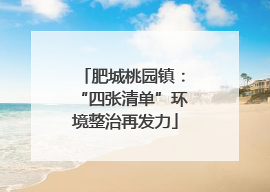 肥城桃园镇：“四张清单”环境整治再发力