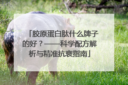 胶原蛋白肽什么牌子的好？——科学配方解析与精准抗衰指南