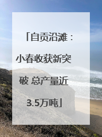 自贡沿滩：小春收获新突破 总产量近3.5万吨