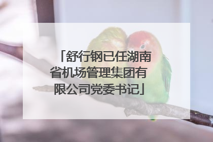 舒行钢已任湖南省机场管理集团有限公司党委书记