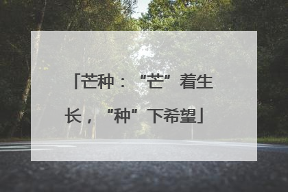 芒种：“芒”着生长，“种”下希望
