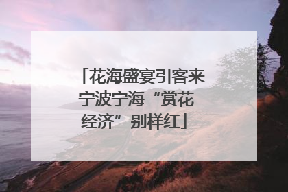 花海盛宴引客来 宁波宁海“赏花经济”别样红