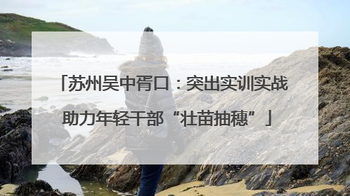 苏州吴中胥口：突出实训实战 助力年轻干部“壮苗抽穗”