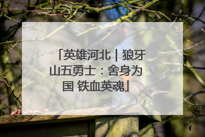 英雄河北｜狼牙山五勇士：舍身为国 铁血英魂