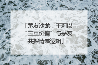 茅友沙龙：王莉以“三重价值”与茅友共探情感逻辑