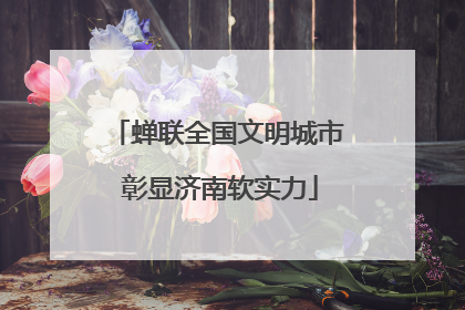 蝉联全国文明城市 彰显济南软实力