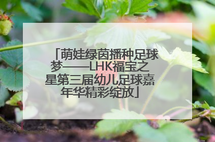 萌娃绿茵播种足球梦——LHK福宝之星第三届幼儿足球嘉年华精彩绽放