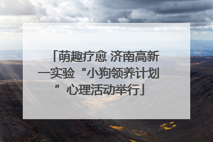 萌趣疗愈 济南高新一实验“小狗领养计划”心理活动举行