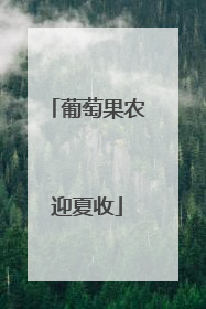 葡萄果农迎夏收