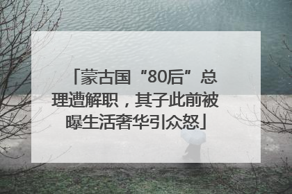 蒙古国“80后”总理遭解职，其子此前被曝生活奢华引众怒