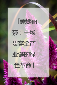 蒙娜丽莎：一场贯穿全产业链的绿色革命