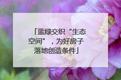 蓝绿交织“生态空间”，为好房子落地创造条件