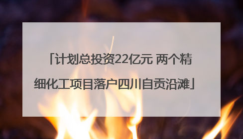 计划总投资22亿元 两个精细化工项目落户四川自贡沿滩