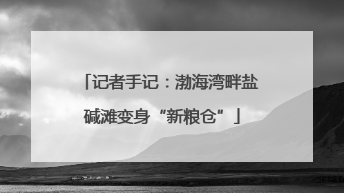记者手记：渤海湾畔盐碱滩变身“新粮仓”