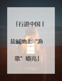 行进中国丨盐碱地上“渔歌”嘹亮