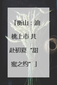 衡山：油桃上市 共赴初夏“甜蜜之约”