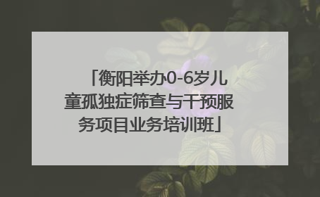 衡阳举办0-6岁儿童孤独症筛查与干预服务项目业务培训班