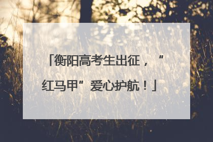衡阳高考生出征，“红马甲”爱心护航！