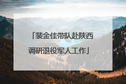 裴金佳带队赴陕西调研退役军人工作