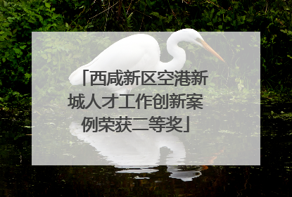 西咸新区空港新城人才工作创新案例荣获二等奖
