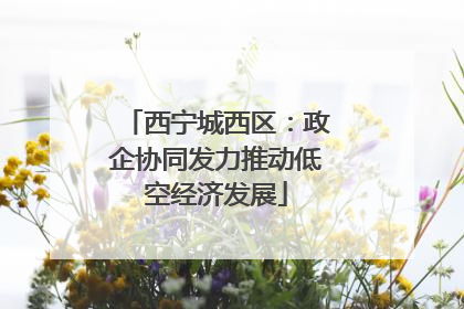 西宁城西区：政企协同发力推动低空经济发展