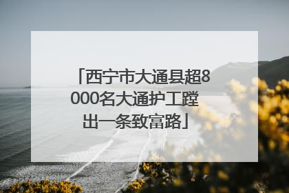 西宁市大通县超8000名大通护工蹚出一条致富路