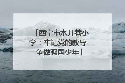 西宁市水井巷小学：牢记党的教导 争做强国少年