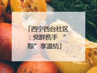 西宁西台社区：党群携手 “粽”享温情