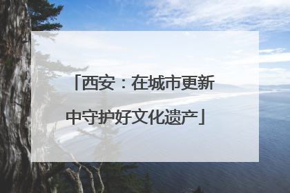 西安：在城市更新中守护好文化遗产