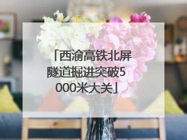 西渝高铁北屏隧道掘进突破5000米大关