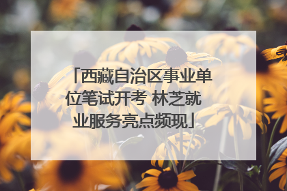西藏自治区事业单位笔试开考 林芝就业服务亮点频现