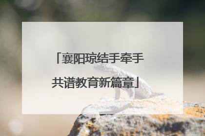 襄阳琼结手牵手 共谱教育新篇章