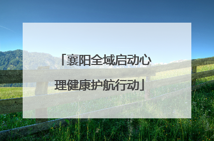 襄阳全域启动心理健康护航行动