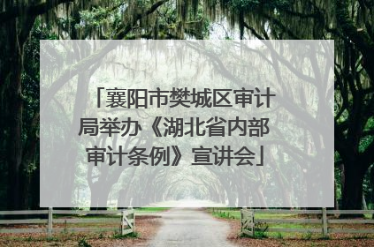 襄阳市樊城区审计局举办《湖北省内部审计条例》宣讲会
