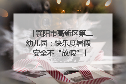 襄阳市高新区第二幼儿园：快乐度暑假 安全不“放假”