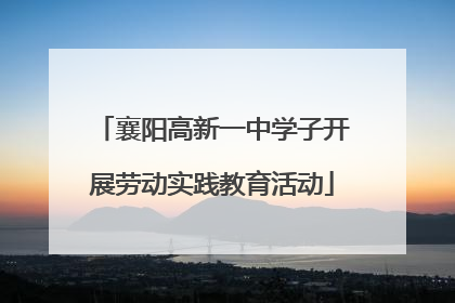 襄阳高新一中学子开展劳动实践教育活动