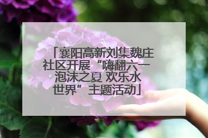 襄阳高新刘集魏庄社区开展“嗨翻六一 泡沫之夏 欢乐水世界”主题活动