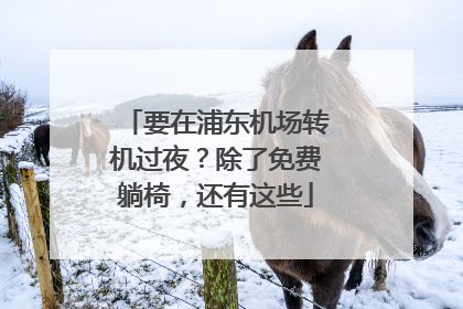 要在浦东机场转机过夜？除了免费躺椅，还有这些