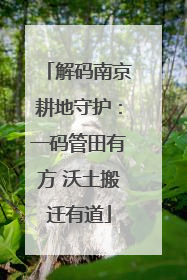 解码南京耕地守护：一码管田有方 沃土搬迁有道
