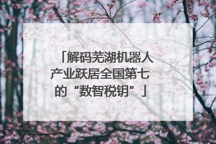 解码芜湖机器人产业跃居全国第七的“数智税钥”