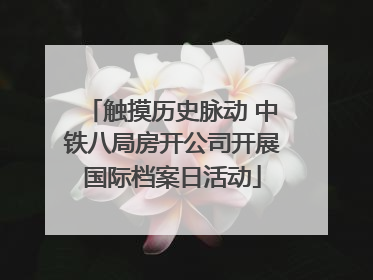 触摸历史脉动 中铁八局房开公司开展国际档案日活动