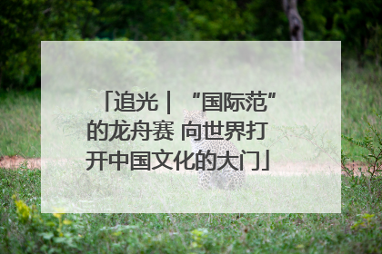 追光｜“国际范”的龙舟赛 向世界打开中国文化的大门