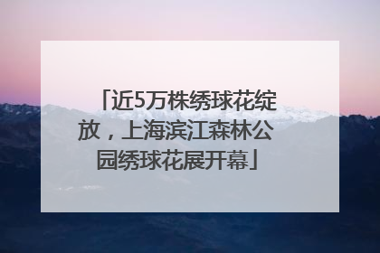 近5万株绣球花绽放，上海滨江森林公园绣球花展开幕