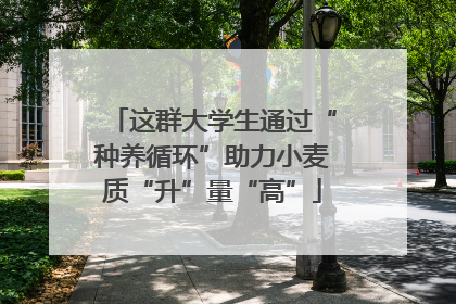 这群大学生通过“种养循环”助力小麦质“升”量“高”