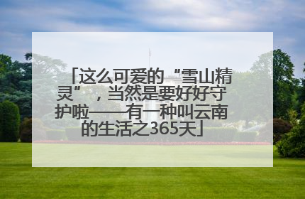 这么可爱的“雪山精灵”，当然是要好好守护啦——有一种叫云南的生活之365天