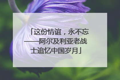 这份情谊，永不忘——阿尔及利亚老战士追忆中国岁月