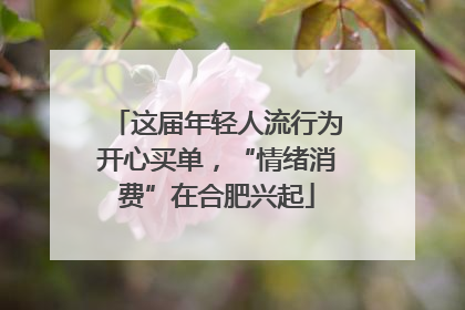 这届年轻人流行为开心买单，“情绪消费”在合肥兴起