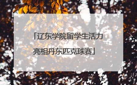辽东学院留学生活力亮相丹东匹克球赛