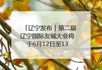 辽宁发布｜第二届辽宁国际友城大会将于6月12日至13日在沈阳举办